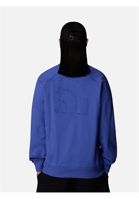 Sweatshirt relaxed The North Face THE NORTH FACE |  sweatshirts | NF0A8C366IF1